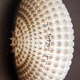 Lampada ARMADILLO per .exnovo