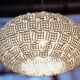 Lampada SPRING per .exnovo