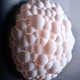 BOLLE APPLIQUE per .exnovo